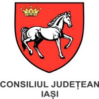 consiliul-iasi-romania.jpg